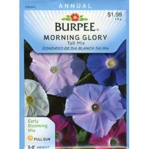  Burpee 31393 Morning Glory Tall Mix Seed Packet Patio 