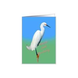  Birthday, 58th, Snowy Egret Bird Card Toys & Games