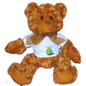   Rocks My World Plush Teddy Bear with BLUE T Shirt Toys & Games