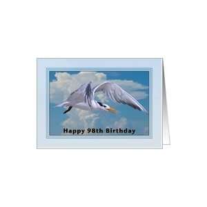  Happy Birthday, 98th, Royal Tern Bird Card Toys & Games