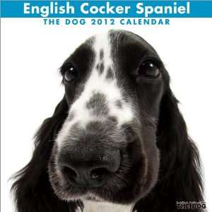  English Cocker Spaniel The Dog 2012 Wall Calendar 29.5 x 