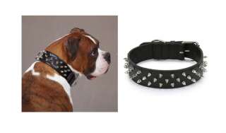 Spike Leather Dog Collars/Collars for Dogs