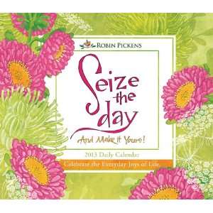  Seize the Day 2013 Daily Box Calendar
