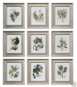 TRADITIONAL S/9 Botanical Green Leaf WALL ART Decor Silver Framed 