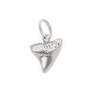 shark tooth charm  