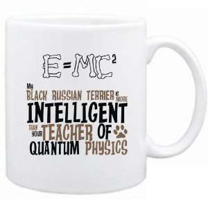   Is More Intelligent Than Your Teacher   Mug Dog
