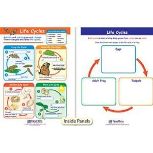  Life Cycles Visual Learning Guide