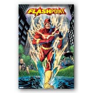  DC Comics The Flash Logo Fabric Poster