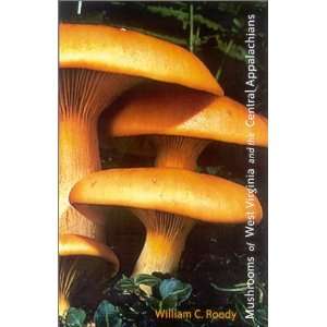  Mushrooms of West Virginia and the Central Appalachians 