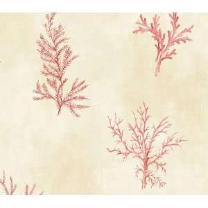  Watercolour Coral Red Wallpaper