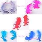 wholesale lot 12pair charm jewelry fashion curly colored feather 