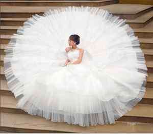 White/Ivory Long Tail Wedding Dress Bridal Gown *Custom* Size4 24 