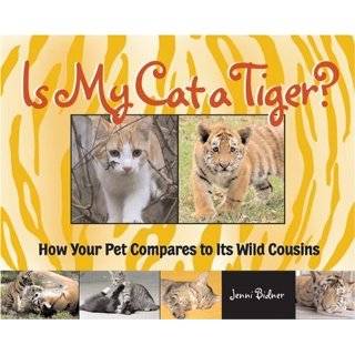 Is My Cat a Tiger? How Your Pet Compares to Its Wild Cousins by Jenni 