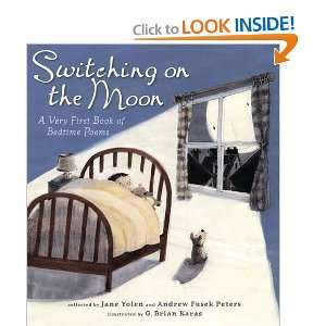  Switching on the Moon (9781406306668) Brian Karas Books