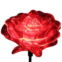 Color Changing Solar Roses (Pack of 2)  