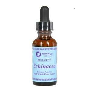  Echinacea Single Extract (Vinegar) 1 Ounces Health 