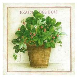  Fraise Des Bois   Poster by Vincent Jeannerot (12 x 12 