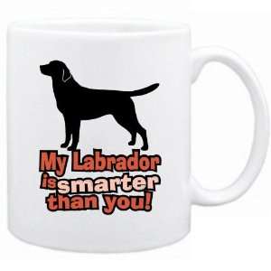  New  My Labrador Is Smarter Than You   Mug Dog