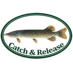  Oval Pike Catch and Release Fishing Sticker Everything 
