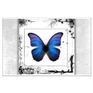  Large Poster Blue Butterfly Still Life 