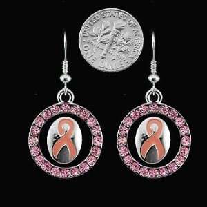  Breast Cancer ~ Earrings ~ Round w/Pink Ribbon & Pink 