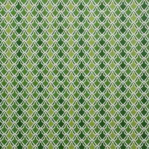  P1201 Koto in Kelly by Pindler Fabric