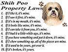 parchment print shih poo dog shih tzu poodle mix laws