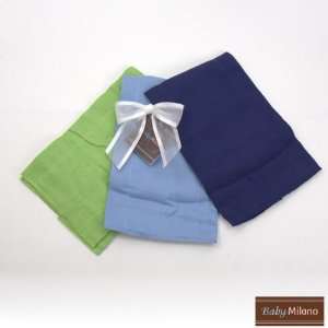  Burp Cloth Set for Boys by Baby Milano. Baby