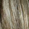   5374 by Jon Renau Wigs 12FS8 Shaded Praline Synthetic Wig  