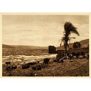  1925 Israel Sea of Galilee Lake of Gennesaret Tiberias 