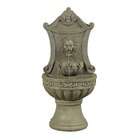 Fountain Cellar Classic Lions Head Outdoor/Indoor Wall Fountain