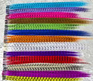 Snythetic Feather Hair Extensions plus beads  