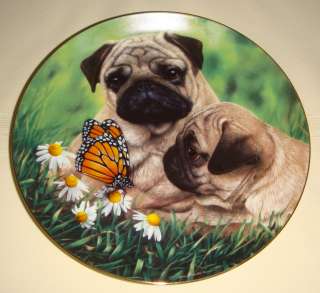 Simon Mendez Pugs Butterfly Flowers PUG EYED Plate Cute  