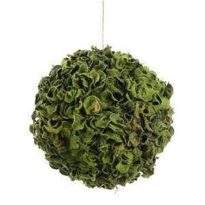  6.5 Moss Ball Ornament Green (Pack of 6) Patio, Lawn 