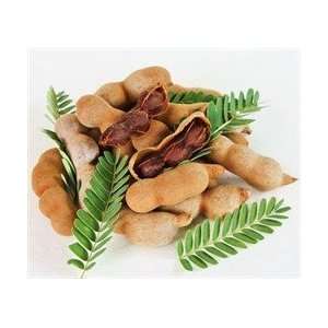 Delicias Del Triunfo Tamarind Tamalitos (12 Pieces)  