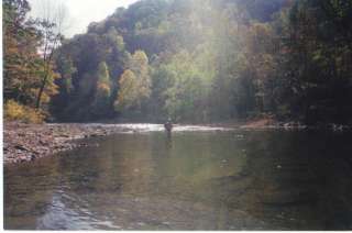 Orvis Equipped Guided Fly Fishing Trip, West Virginia  