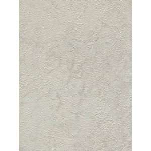    Wallpaper Patton Wallcovering Focal Point 7992247