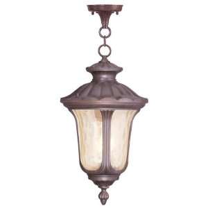  Livex 7665 58 Oxford Outdoor Chain Hung Lantern Imperial 