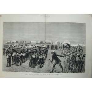  1879 Zulu War Camp Ginghilovo Soldiers Weapons Art