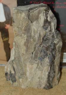 These are Nice Massive Silicified Petrified Wood Bookends From 