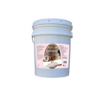 Roman Pro 935 R 355 Gal. Clear Adhesion Promoting Primer 203787 at The 