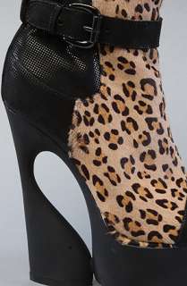 Ego and Greed The Orlando Shoe in Leopard  Karmaloop   Global 