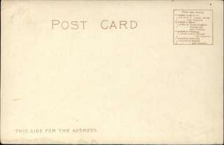 RED STAR LINE Steamship Dutch Dock Scene c1910 Postcard  