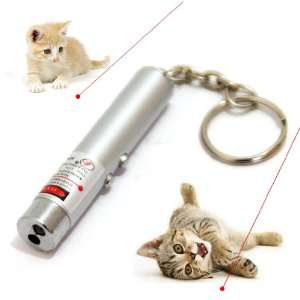 Mini Laser Schlüsselanhänger ideales Katzenspielzeug Katzentrainer 