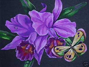 Cattleya Orchid flower Exotic Butterfly insect print  