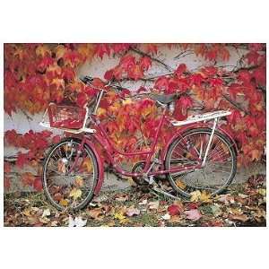 Postkarte Fahrrad im Herbst  Sport & Freizeit