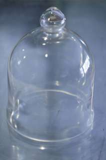 Medium Broad 12 Clear Glass Cloche Bell Jar w/Knob  