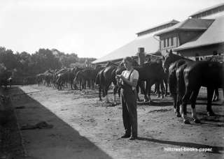 US Army 15th Cavalry horse corral photo picture  