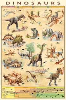 Dinosaurier   Arten Und Evolution Poster Plakat #36799  