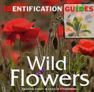 Wild Flowers of Europe Identification Guide NEW book  